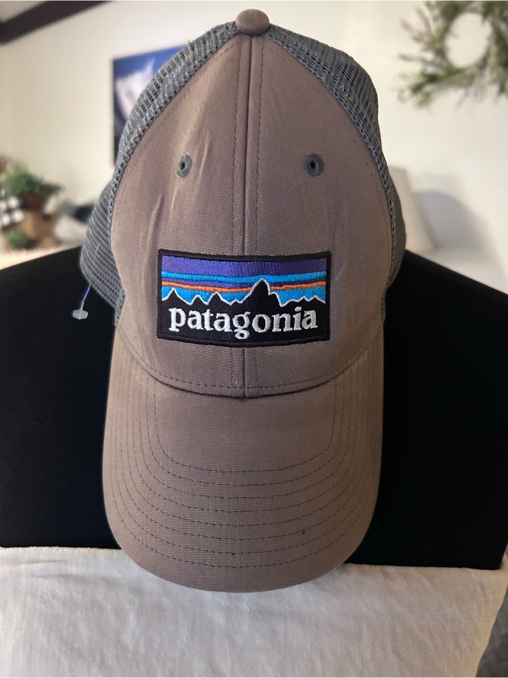 $19 sale PATAGONIA P-6 Logo Trucker Hat LoPro OSFA Snapback FORGE GREY